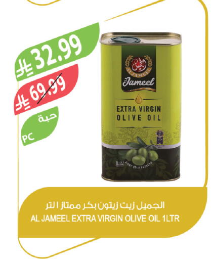 available at المزرعة in مملكة العربية السعودية, السعودية, سعودية - الخرج