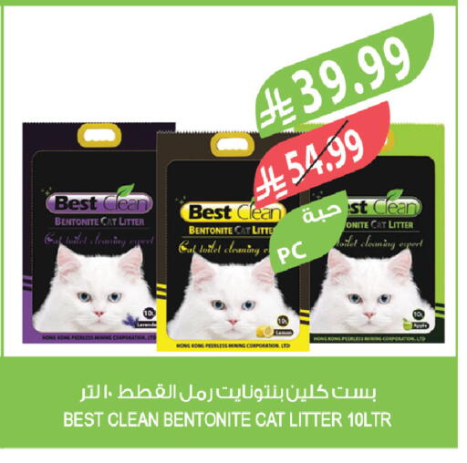 available at المزرعة in مملكة العربية السعودية, السعودية, سعودية - الخرج