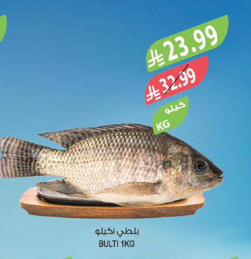 available at المزرعة in مملكة العربية السعودية, السعودية, سعودية - تبوك
