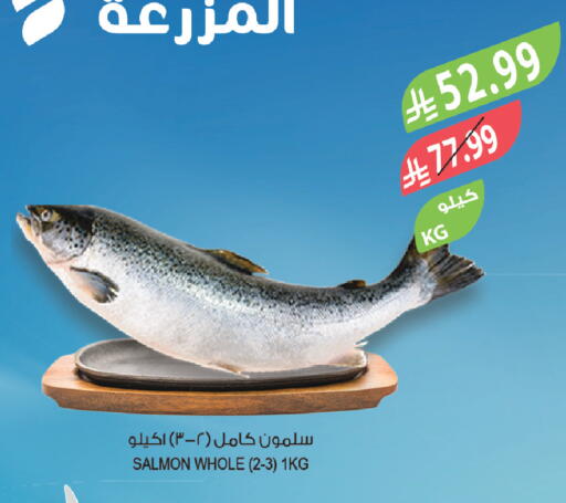 available at المزرعة in مملكة العربية السعودية, السعودية, سعودية - تبوك