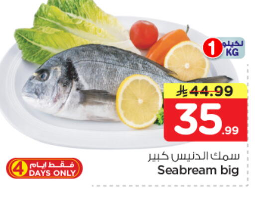 available at Nesto in KSA, Saudi Arabia, Saudi - Al-Kharj