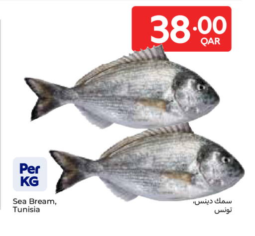 available at كارفور in قطر - الوكرة