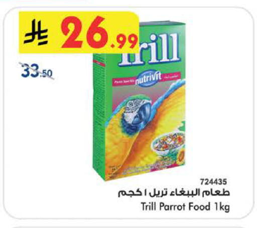 available at بن داود in مملكة العربية السعودية, السعودية, سعودية - الطائف
