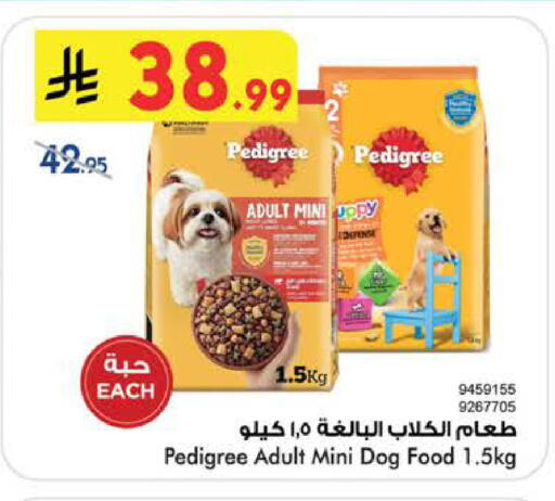 available at بن داود in مملكة العربية السعودية, السعودية, سعودية - الطائف