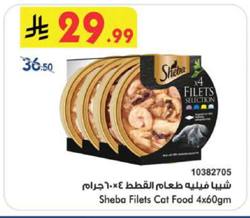 available at بن داود in مملكة العربية السعودية, السعودية, سعودية - الطائف