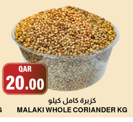 Coriander available at Aswaq Al Malaki Fresh in Qatar - Al-Shahaniya
