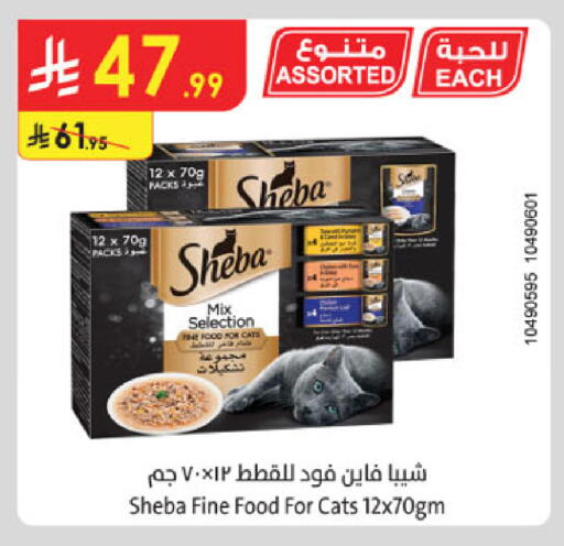 available at Danube in KSA, Saudi Arabia, Saudi - Buraidah