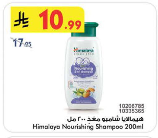 available at بن داود in مملكة العربية السعودية, السعودية, سعودية - الطائف