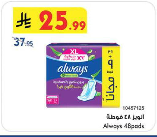 available at بن داود in مملكة العربية السعودية, السعودية, سعودية - الطائف