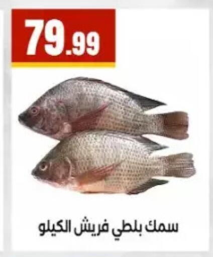 available at المحلاوي ستورز in Egypt - القاهرة