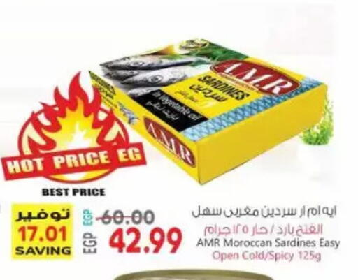 available at New.Penny.market in Egypt - Cairo