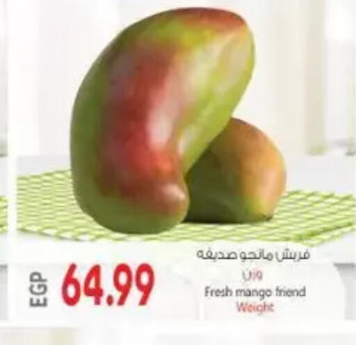 Mango available at New.Penny.market in Egypt - Cairo