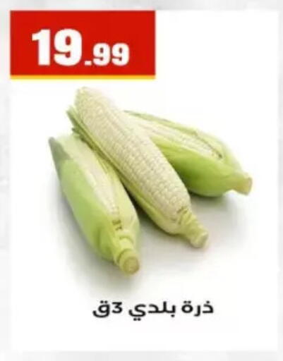 available at El Mahlawy Stores in Egypt - Cairo