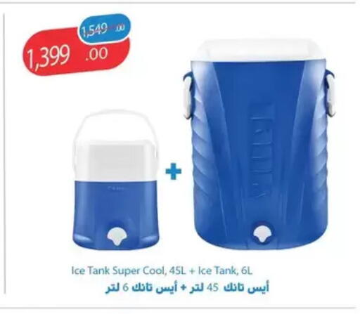 available at Fathalla Market  in Egypt - Cairo