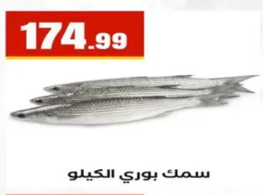 available at المحلاوي ستورز in Egypt - القاهرة