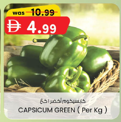 Capsicum available at ك. الم. للتجارة in الإمارات العربية المتحدة , الامارات - أبو ظبي