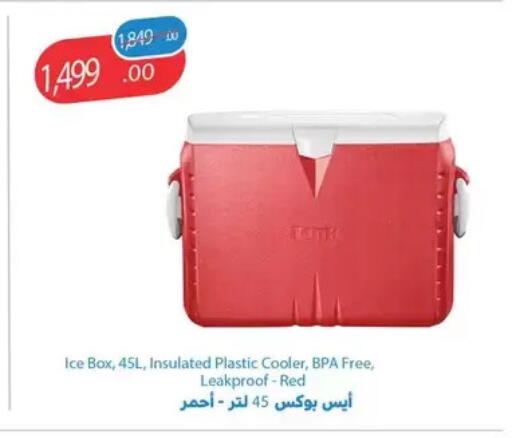 available at Fathalla Market  in Egypt - Cairo
