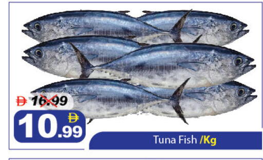 available at ديزرت فريش ماركت in الإمارات العربية المتحدة , الامارات - أبو ظبي