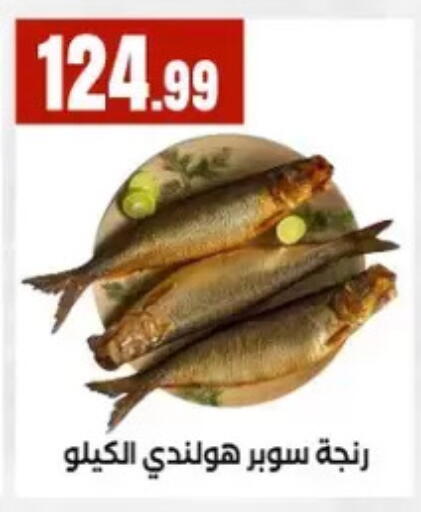 available at El Mahlawy Stores in Egypt - Cairo
