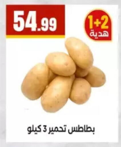 available at المحلاوي ستورز in Egypt - القاهرة