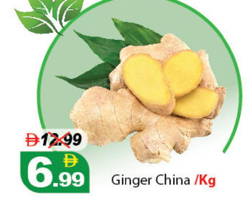 Ginger from China available at ديزرت فريش ماركت in الإمارات العربية المتحدة , الامارات - أبو ظبي