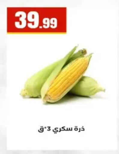 available at El Mahlawy Stores in Egypt - Cairo