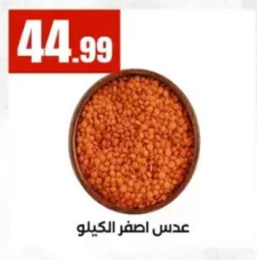 available at المحلاوي ستورز in Egypt - القاهرة