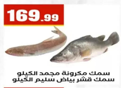 available at المحلاوي ستورز in Egypt - القاهرة