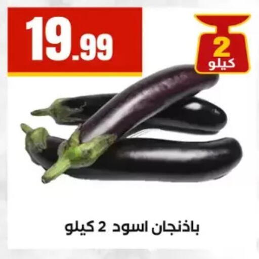 available at المحلاوي ستورز in Egypt - القاهرة