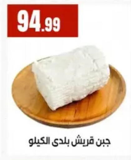 available at المحلاوي ستورز in Egypt - القاهرة