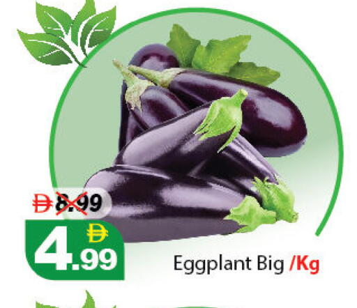 Eggplant available at ديزرت فريش ماركت in الإمارات العربية المتحدة , الامارات - أبو ظبي