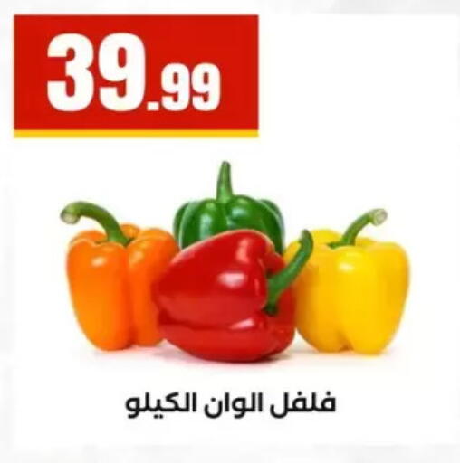 available at المحلاوي ستورز in Egypt - القاهرة
