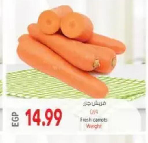 available at New.Penny.market in Egypt - Cairo