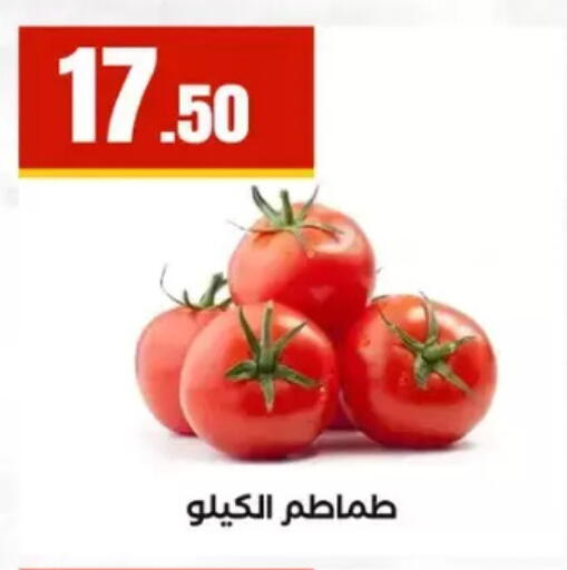 available at المحلاوي ستورز in Egypt - القاهرة