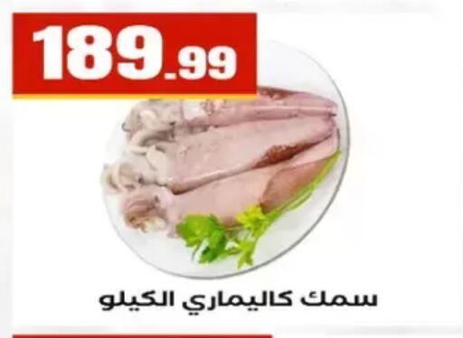 available at المحلاوي ستورز in Egypt - القاهرة