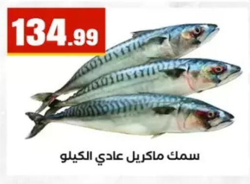available at المحلاوي ستورز in Egypt - القاهرة