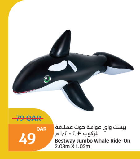 available at سيتي هايبرماركت in قطر - الشمال