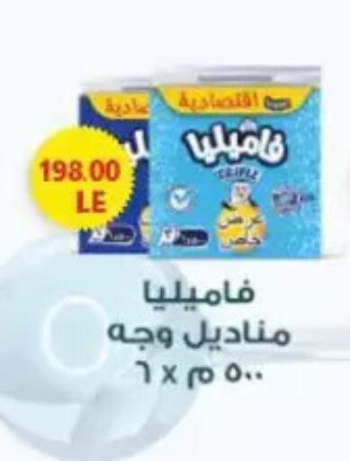 available at New.Penny.market in Egypt - Cairo