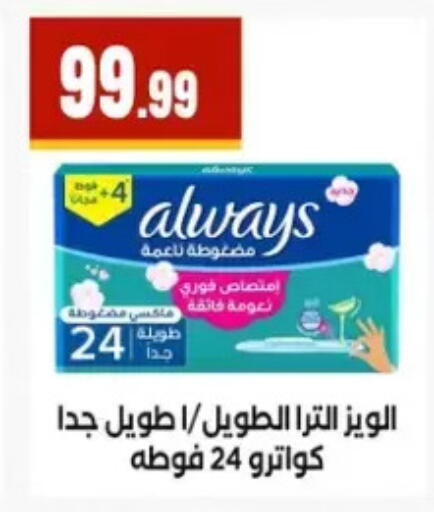 available at المحلاوي ستورز in Egypt - القاهرة
