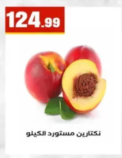 available at El Mahlawy Stores in Egypt - Cairo