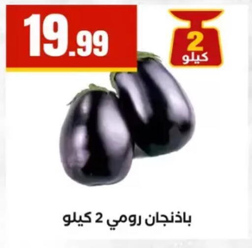 available at المحلاوي ستورز in Egypt - القاهرة