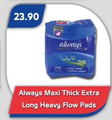 available at Bassem Market in Egypt - Cairo