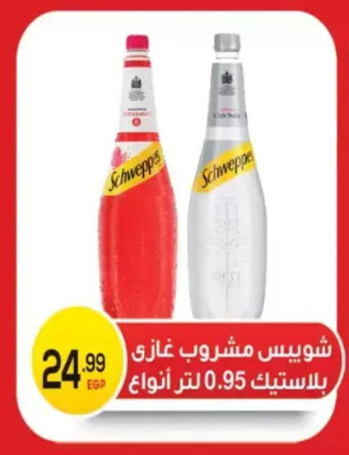 available at El mhallawy Sons in Egypt - Cairo