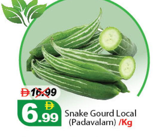 available at ديزرت فريش ماركت in الإمارات العربية المتحدة , الامارات - أبو ظبي
