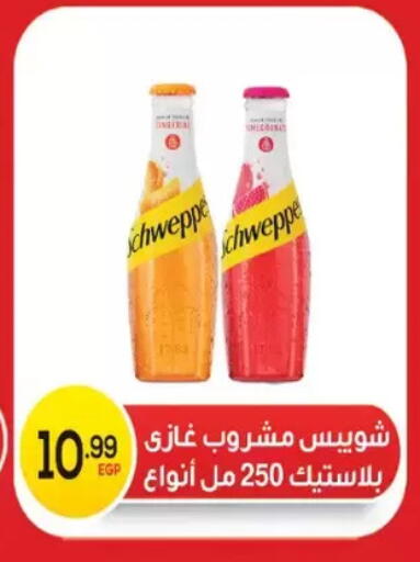 available at El mhallawy Sons in Egypt - Cairo