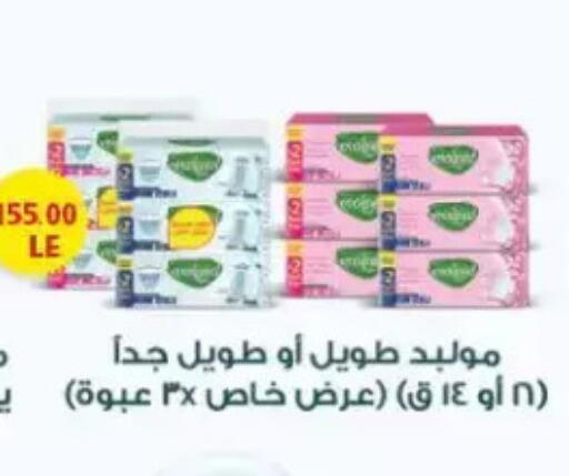 available at New.Penny.market in Egypt - Cairo