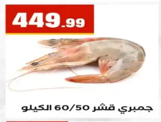 available at المحلاوي ستورز in Egypt - القاهرة