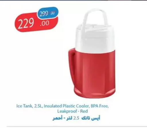 available at Fathalla Market  in Egypt - Cairo