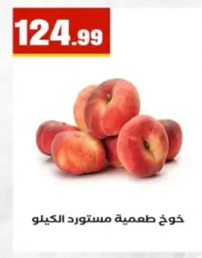 available at El Mahlawy Stores in Egypt - Cairo