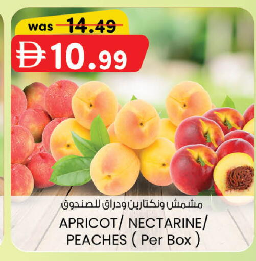 Apricot Nectarine available at ك. الم. للتجارة in الإمارات العربية المتحدة , الامارات - أبو ظبي